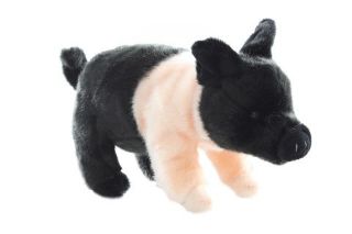 Obrázek z Prase plyš 25cm 